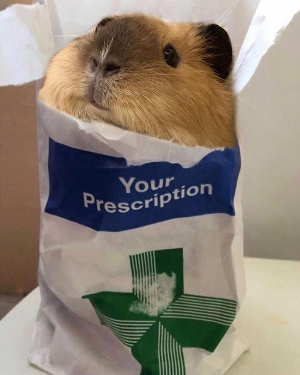 Amnesty Ipswich Get Involved